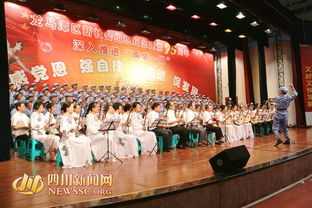 龍馬潭區(qū)舉辦“新社會組織 時代新風(fēng)采”專場文藝演出暨文化藝術(shù)交流活動