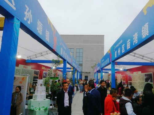 扶貧產品交流會暨文化藝術展演即將盛大啟幕，千余種特色產品匯聚一堂